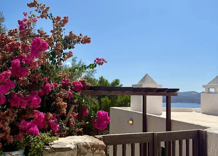 Lejlighed Garden View Traditional House