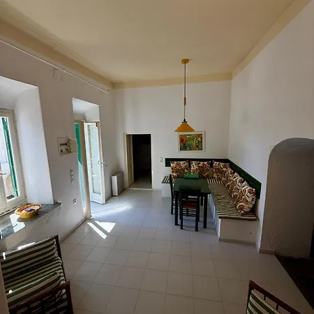 Garden View Traditional House