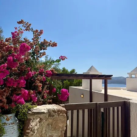 Appartement Garden View Traditional House