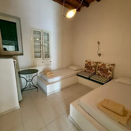 Garden View Traditional House *