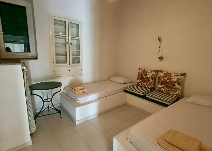 Garden View Traditional House *